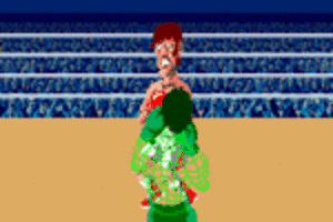 punch!!out.gif